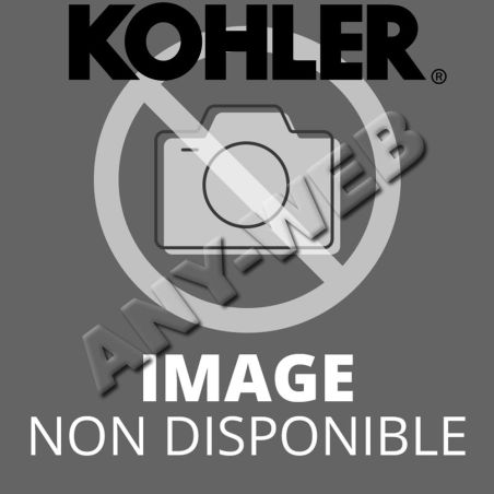 Kit réparation de carburateur pour moteur Kohler