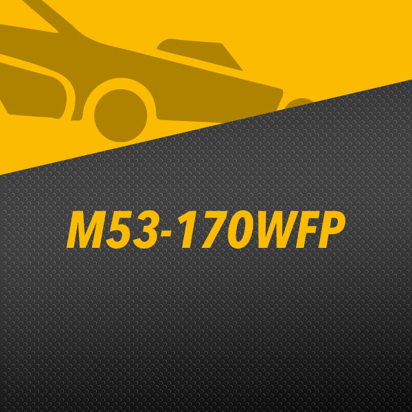 Tondeuse M53-170WFP McCULLOCH